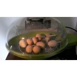 fiem smart met eieren broedmachine