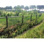 kippengaas voorbeeld