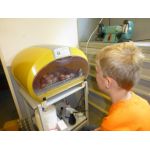 Kleinzoon Kevin kan niet wachten tot de kuikens uitkomen :)