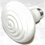 donkerstraler elstein, lamp zelf