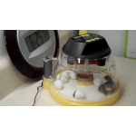 Broedmachine brinsea mini advanced ex met kuiken