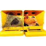 legnest chickbox geschakeld