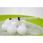 Digitale fiem smart broedmachine met eieren