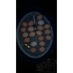 ingezonden door Andros