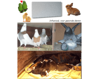 infrarood verwarming