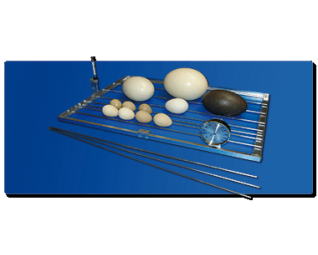 Broedmachine Cosmo van Fiem keersysteem