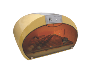 Fiem Cosmo broedmachine